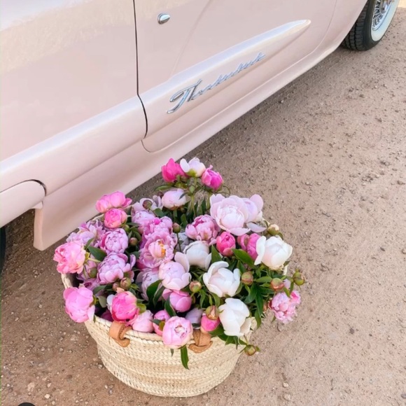 Hello 🌷 - Picture 4 of 11